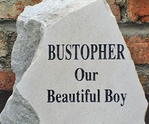 bustopher-408x250