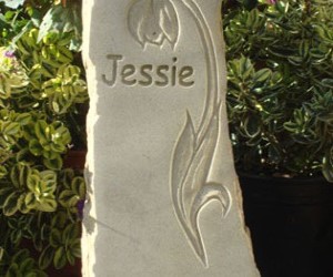jessie-315x250