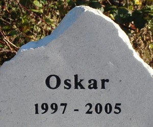 oskar-408x250