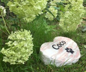 rose marble heart black letters with paw print motif for coco