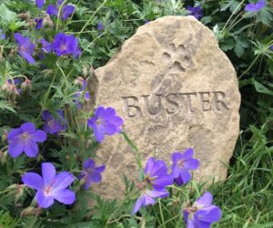 sandstone pet memorial boulder with pawprint motif for Buster amongst blue geraniums in the gardens
