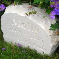 Limestone Boulder Pet Memorial for Molly in the Garden amongst Geraniums