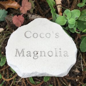 Limestone Cloud Plaque Pet Memorial for Coco placed near the Magnolia where she used to Sleep
