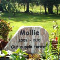 Marble Pet Memorial Boulder for Mollie with Black Painted Letters