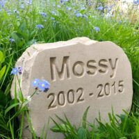 Sandstone Pet Memorial Boulder for Mossy amongst the Forget Me Nots