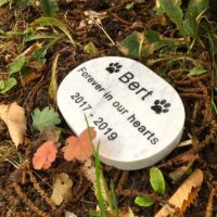 White Marble Plaque with two paw prints for Bert. This Oval Pet Memorial is Lying Flat in the Garden