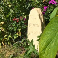 Limestone Obelisk Pet Memorial with Feather Motif for Elvis the Budgie